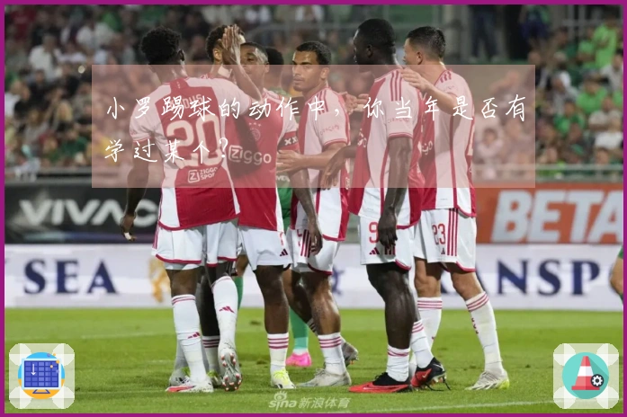 小罗踢球的动作中，你当年是否有学过某个？