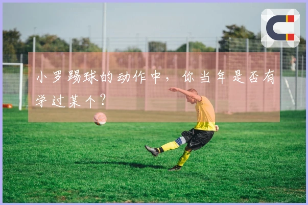 小罗踢球的动作中，你当年是否有学过某个？