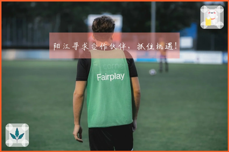 阳江寻求合作伙伴，抓住机遇！